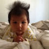 sylslee